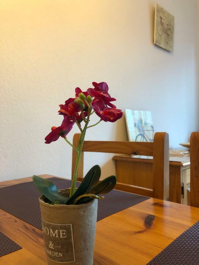 Apartaments S'Arenella Cadaqués Zewnętrze zdjęcie